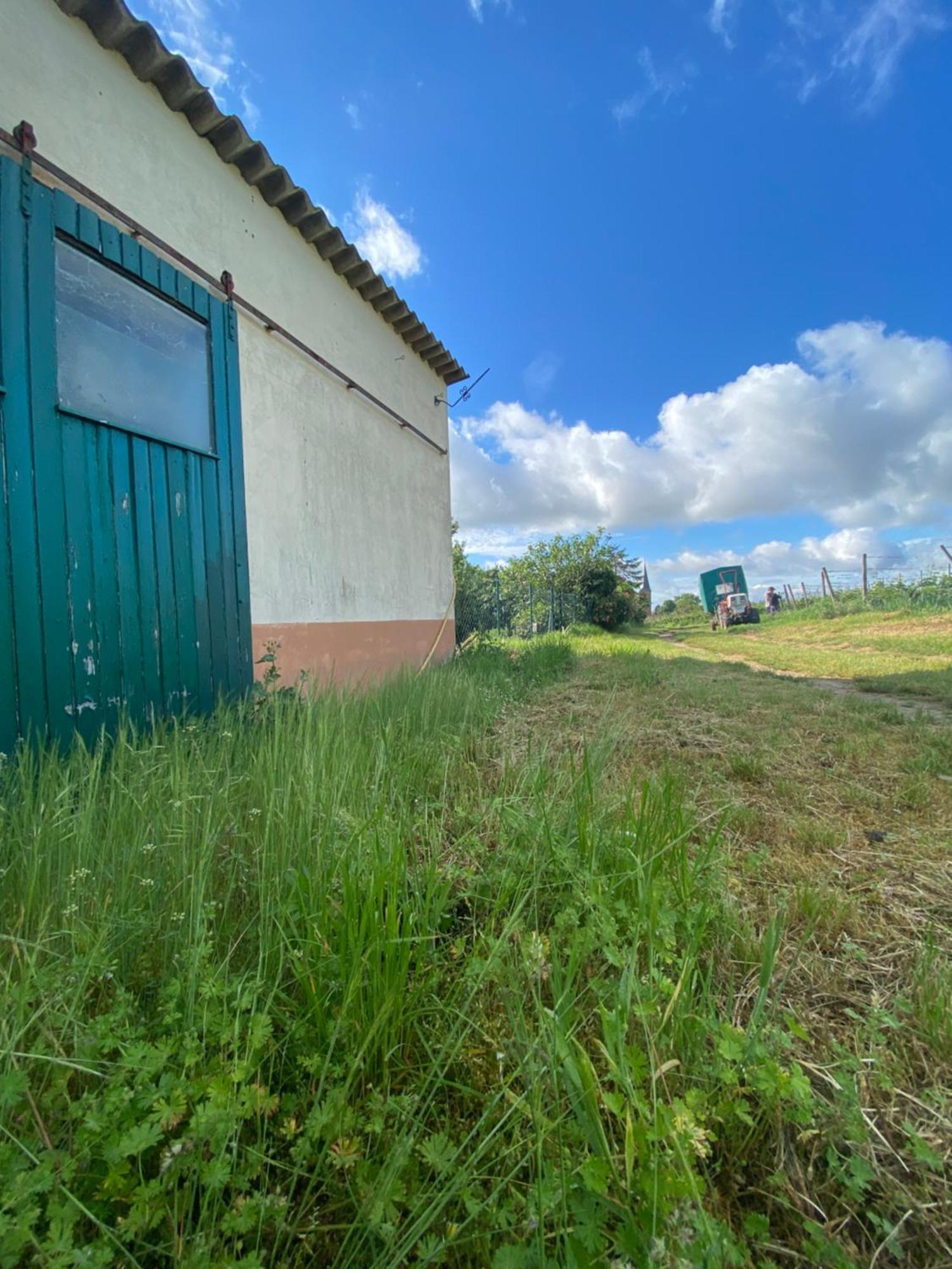 Zum Schockelgaul Gaestehaus Forst an der Weinstrasse Esterno foto
