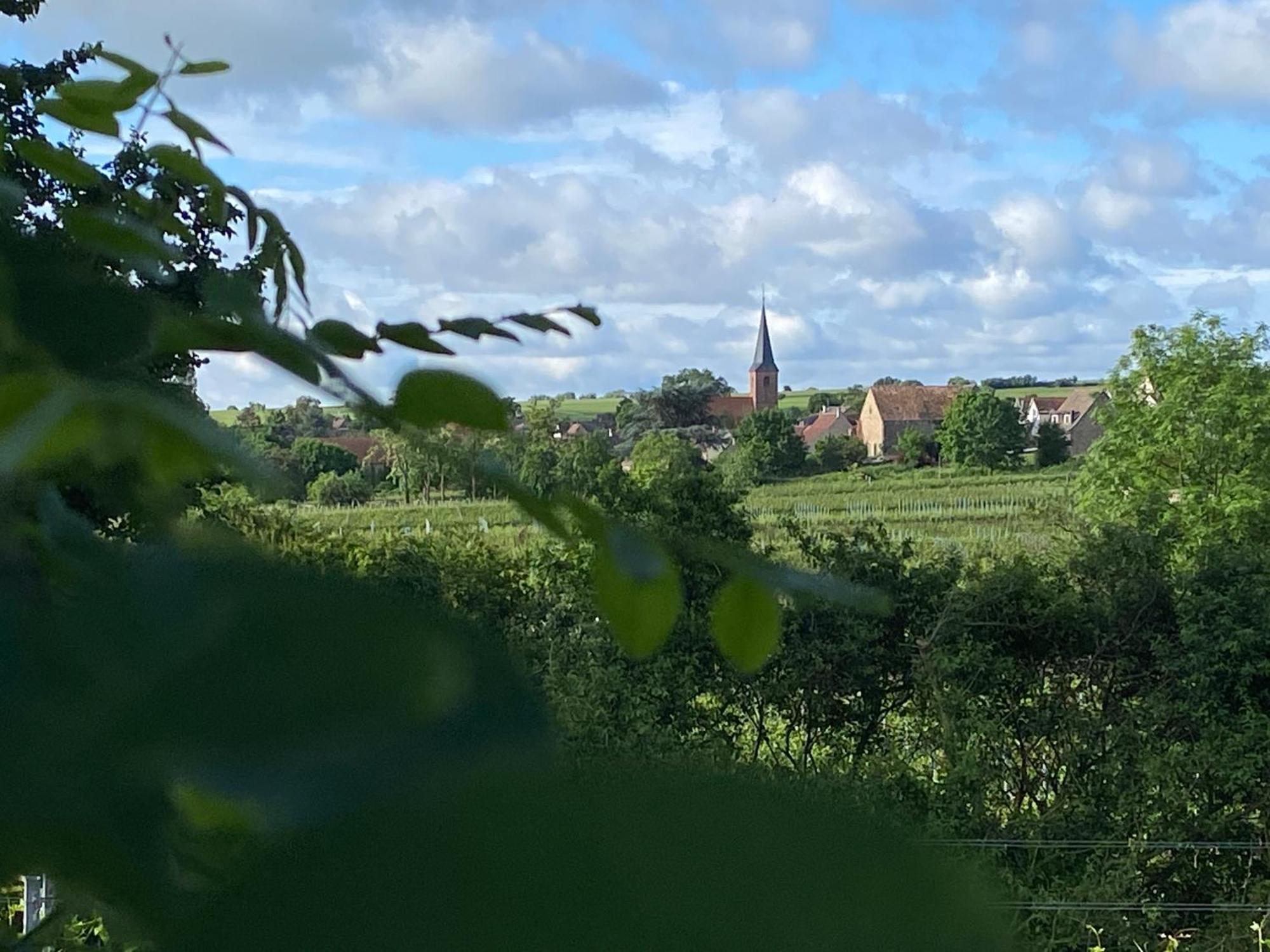 Zum Schockelgaul Gaestehaus Forst an der Weinstrasse Esterno foto